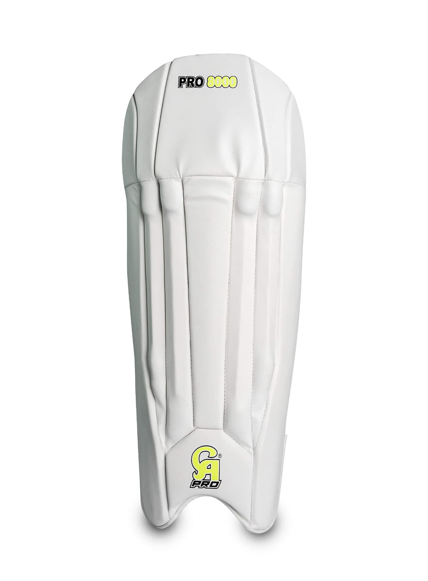 Pro 8000 - image 1